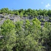 Der ehemalige Steinbruch hat es als "Ruhpoldinger Marmor" in die Liste der hundert schönsten Geotope Bayerns geschafft.