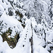 Weiter östlich erreiche ich den (direkten) Steig von der Sexauer Hütte hoch zur Teufelskanzel, wohl die bekannteste Attraktion in den  Wäldern südwestlich-oberhalb von Griesbach. Das Begehen der zugeschneiten, schmaltrittigen Hühnerleiter-Holztreppe mit Schneeschuhen erfordert bissel Konzentration.