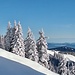 Winterzauber am Kronberg