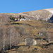 Barchi di Colla