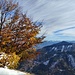 Herbstimpression