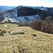 La ripida risalita dei 340 m di dislivello che separano l’Alpe di Boffalora dal Monte di Lenno. Sullo sfondo la Cima della Duaria, da cui siamo scesi.