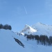 der Golatsch ist nur ein Zwerg