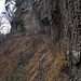 am Fuss der Wand wandern die Rehe