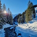 Perfekt präparierte Loipen und Winterwanderwege in lieblicher Landschaft