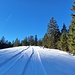 der Sonne entgegen