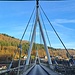 Die 215 Meter lange Neckarbrücke ist eine 2011 eröffnete zweihüftige Schrägseilbrücke aus Stahl, die eine Fähre ersetzt.