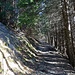 Wald Passage zum Fraxner Maiensäss hinauf