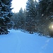 Es gibt hier unten noch die alte überschneite Skispur - und die Sonne kommt erstmals durch!
