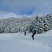Wir tauchen ein in den wunderbaren Zirbenwald.