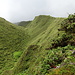 Zurück auf dem Plateau des Palmistes: Links erhebt sich der Gipfelkegel. Rechts das Plateau, das den äußeren Rand einer großen Caldera formt. 