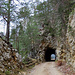 Ein Tunnel am Rüschgrabenweg.