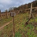 Unmittelbar danach weist ein kleines hölzernes Schild ("Châteaux, Crax") zum Wald hinauf. 