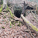 und am Südufer eine Höhle!<br />(Punkt 7 auf der Karte)