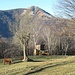 Oltre il prato dove pascolano le mucche scozzesi, la Cima della Duaria sul lato destro della Val Perlana, che domina l’Alpe Boffalora.