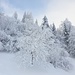Neuschnee verzaubert die Landschaft oberhalb Latschau