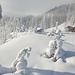 bei Gauen