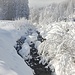 Bachlauf