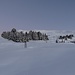 Stillleben eines Skigebiets...Wintermorgen am Berggasthaus Triemel.