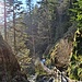 Die Allerheiligen-Wasserfälle sind nichts Geringeres als die größten Wasserfälle des Nordschwarzwalds. 