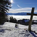 Vom Kretenkreuz am Chrinnenberg: Blick auf das Nebelmeer über dem Linthgebiet