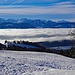 Dicke Nebeldecke über dem Zürichsee