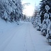 Verschneite Forststrasse zur Paulahütte hinauf