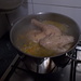 la gallina o pulaster sta dando profumo gradito