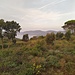 Der Blick nach Westen öffnet sich zur Bucht von La Croix-Valmer und Cavalaire-sur-Mer