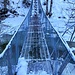 die erste Hängebrücke über den Alpenbach noch recht stabil
