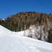 Es geht zunächst am Rande des Skiweges rechts in den Wald hinein