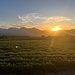 und dann good-bye unbarmherzige Sonne