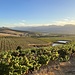 Blick hinab ins weite Tal des Breederivier