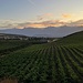 wir haben es dann doch nicht ganz vor Sonnenuntergang bis zurück geschafft