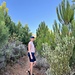 im ersten Abendschatten und in hoher Vegetation