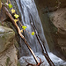 der Wasserfall bei 527-524 Meter, Sandsteinstufe. Foto vom 4. Februar 2023