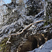 Sandsteinhöhlen