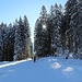 Winterwanderweg zur Alp Valüna