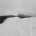 "Perfekter" Winter im Züri Oberland