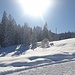 ein strahlend schöner Tag