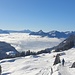 Ober Altberg, der Vierwaldstättersee im Nebel