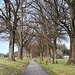 Heldenallee