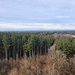 Im Norden erstreckt sich der Ebersberger Forst, keine Hügel oder Ähnliches bringen Bewegung in die Landschaft 