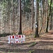 Der näher am Ufer befindliche Weg ist gesperrt, ich vermute, dass da einfach nur ein Baum quer liegt und versuche es