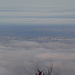 Nebelsuppe im Voralpenland