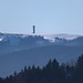 Zoom zum (fast) letzten aktuellen Refugium des Schnees am Feldberg.<br /><br />Trotzdem findet dieses Wochenende ganz in der Nähe von hier der Schwarzwaldpokal (Weltcup in der Nordischn Kombination) statt.Den Schneedepots sei Dank.