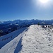 Gipfelschau der Berner Riessen....