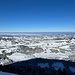 Blick vom Kronberg Richtung Norden