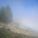Der Nebel verzieht sich