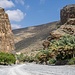 Fahrt ins Wadi 